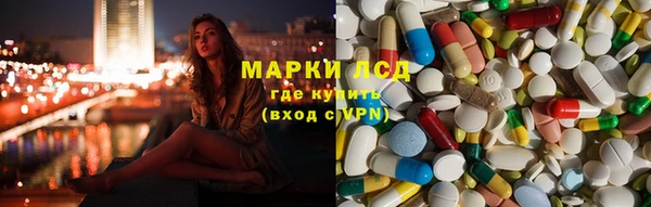 сатива Балахна