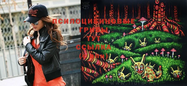 сатива Балахна