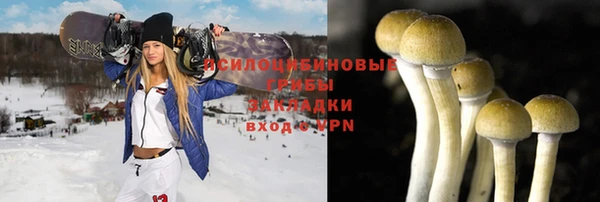 сатива Балахна