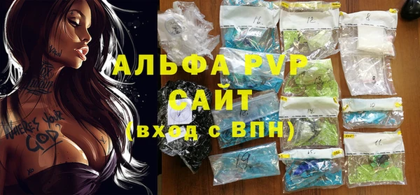 сатива Балахна