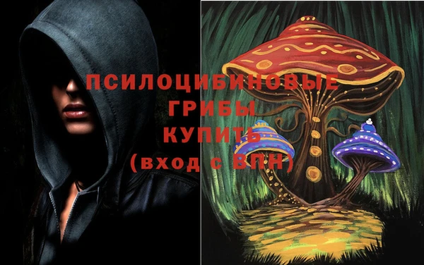 сатива Балахна