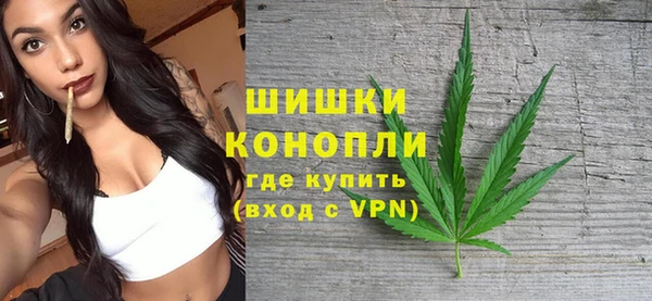 сатива Балахна