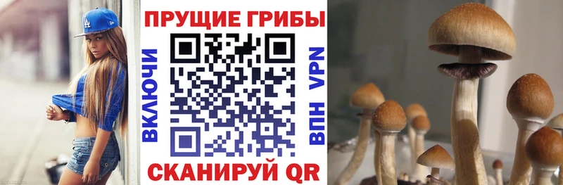 Псилоцибиновые грибы Magic Shrooms  купить   это какой сайт  Зверево  kraken tor 