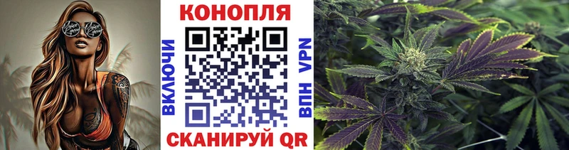 дарк нет наркотические препараты  Зверево  Шишки марихуана индика  как найти закладки 